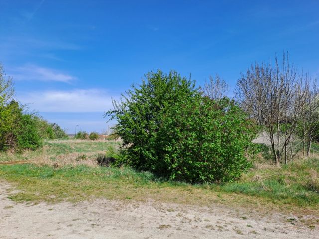 Blick auf Verkaufsfläche und Umgebung - Unbebautes Grundstück in Ortslage von Warmsdorf