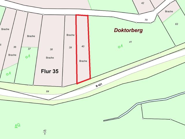 Lageskizze - Gerodeter, ehemaliger Weinberg in der Weinbaulage ´Zeller Domherrenberg´ im Moseltal