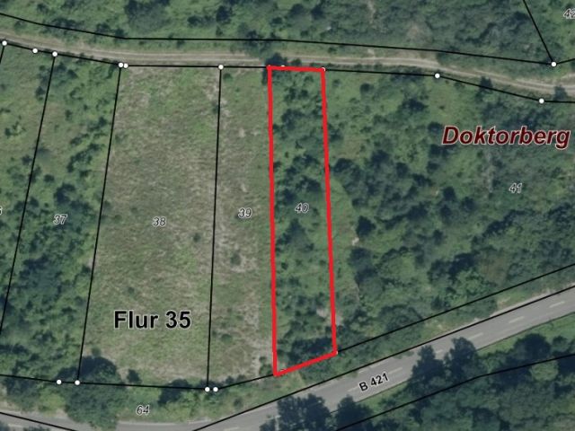 Lageskizze - Gerodeter, ehemaliger Weinberg in der Weinbaulage ´Zeller Domherrenberg´ im Moseltal