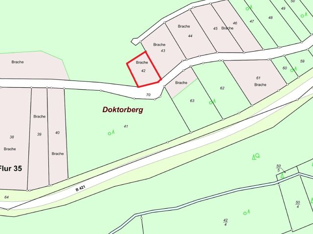 Lageskizze - Gerodeter, ehemaliger Weinberg in der Weinbaulage ´Zeller Domherrenberg´ im Moseltal
