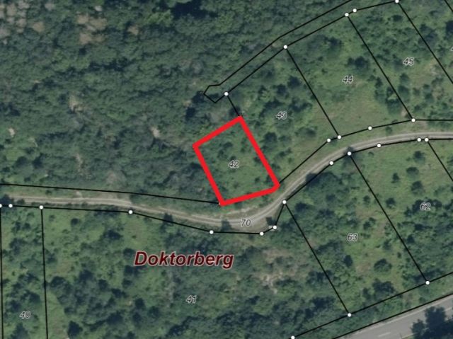 Lageskizze - Gerodeter, ehemaliger Weinberg in der Weinbaulage ´Zeller Domherrenberg´ im Moseltal