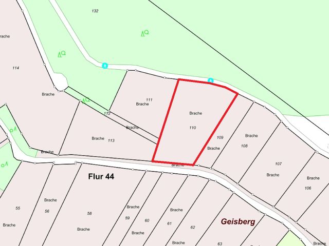 Lageskizze - Gerodeter, ehemaliger Weinberg in der Weinbaulage ´Geisberg´ im Moseltal