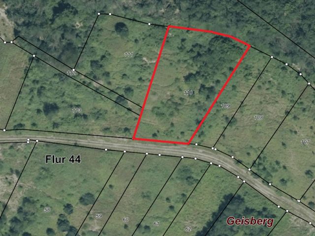 Lageskizze - Gerodeter, ehemaliger Weinberg in der Weinbaulage ´Geisberg´ im Moseltal