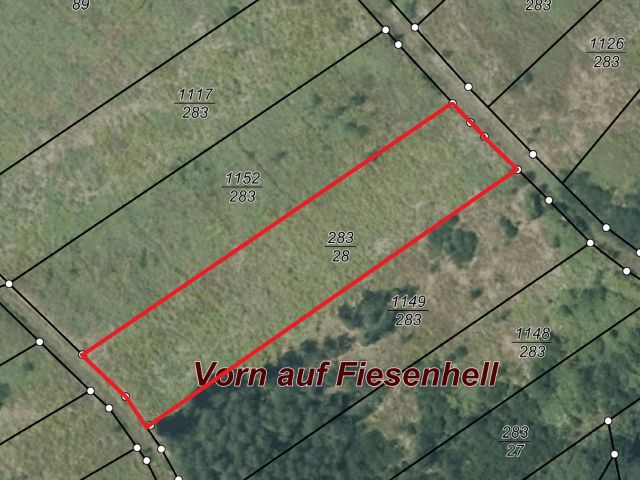 Lageskizze - Gerodeter Weinberg in der Weinbaugemeinde Zell (Mosel)