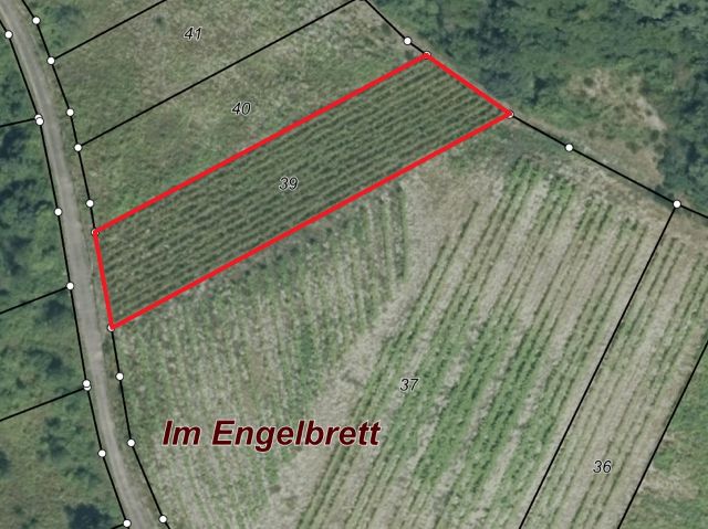 Lageskizze - Vertragsfreier, bestockter Weinberg in altem Weinort an der Mosel