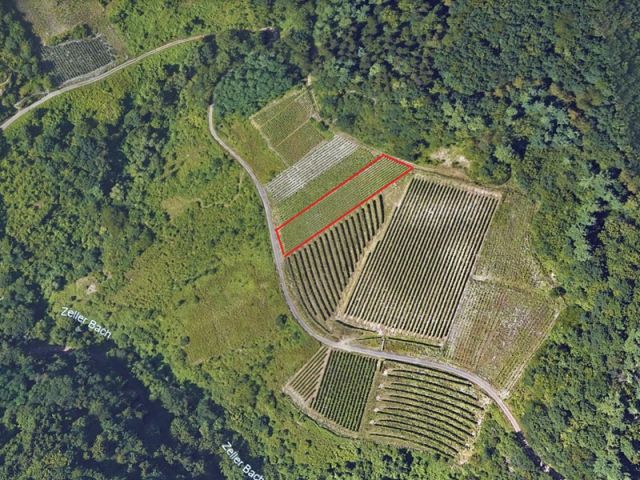 Lageskizze - Vertragsfreier, bestockter Weinberg in altem Weinort an der Mosel