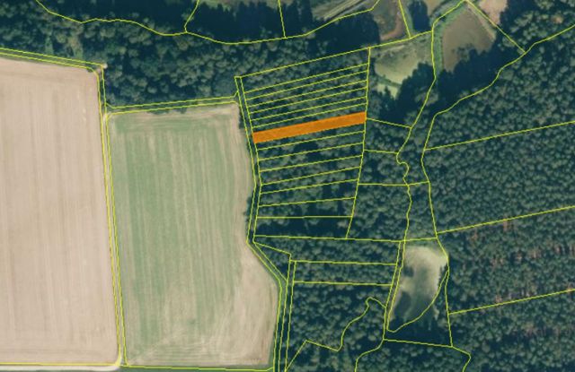 Lageskizze - Kleine Waldfläche in der Oberpfalz in Bayern