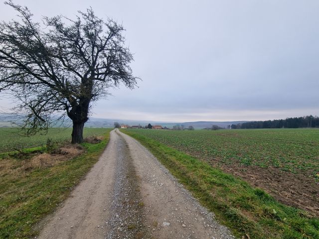 Umgebung - 1/2 Miteigentumsanteil an einer verpachteten Landwirtschaftsfläche südöstlich der Kleinsiedlung Hetzeberg