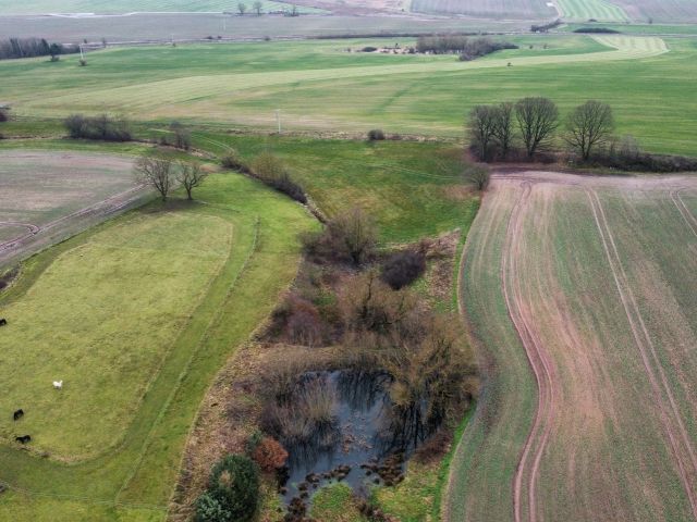 Blick auf die Verkaufsfläche und die Umgebung - 1/2 Miteigentumsanteil an einer verpachteten Landwirtschaftsfläche südöstlich der Kleinsiedlung Hetzeberg