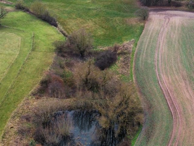 Verkaufsfläche und Umgebung - 1/2 Miteigentumsanteil an einer verpachteten Landwirtschaftsfläche südöstlich der Kleinsiedlung Hetzeberg