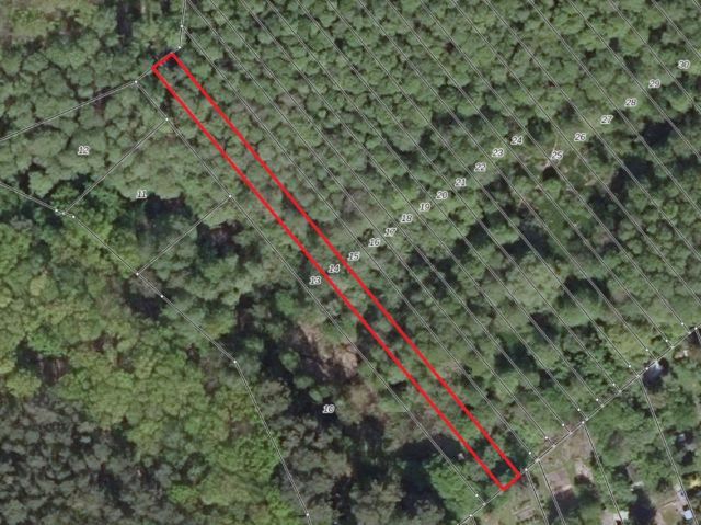 Lageskizze - Vertragsfreier Waldstreifen angrenzend an Erholungsgrundstücke und unmittelbar am Potsdamer Stadtrand