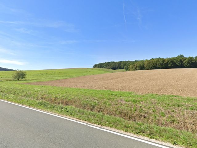 Verkaufsfläche und Umgebung - Grün-/ Landwirtschaftsfläche etwa 1,5 km nördlich des Mains