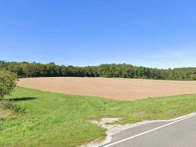 Verkaufsfläche und Umgebung - Grün-/ Landwirtschaftsfläche etwa 1,5 km nördlich des Mains