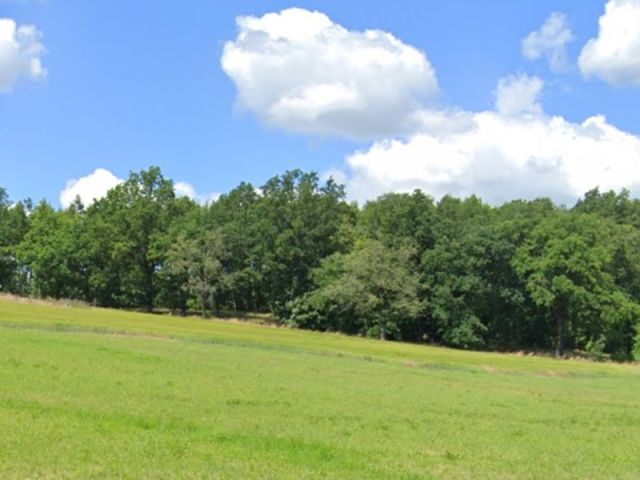 Blick auf Verkaufsfläche und Umgebung - Schmaler Grundstücksstreifen am Waldrand - überwiegend Wegefläche