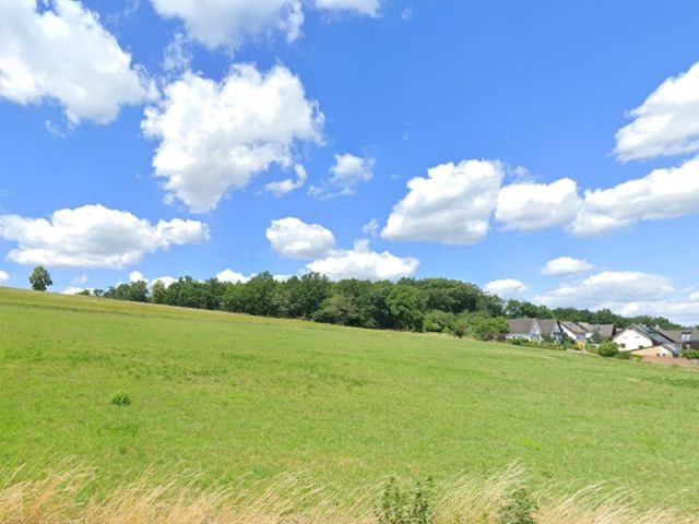 Blick Richtung Verkaufsfläche und auf die Umgebung - Schmaler Grundstücksstreifen am Waldrand - überwiegend Wegefläche
