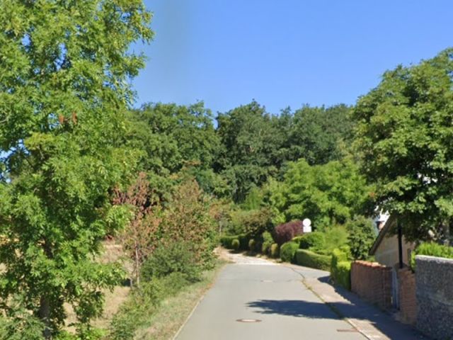 Blick von der Straße Am Leithenberg Richtung Verkaufsfläche und auf die Umgebung - Schmaler Grundstücksstreifen am Waldrand - überwiegend Wegefläche