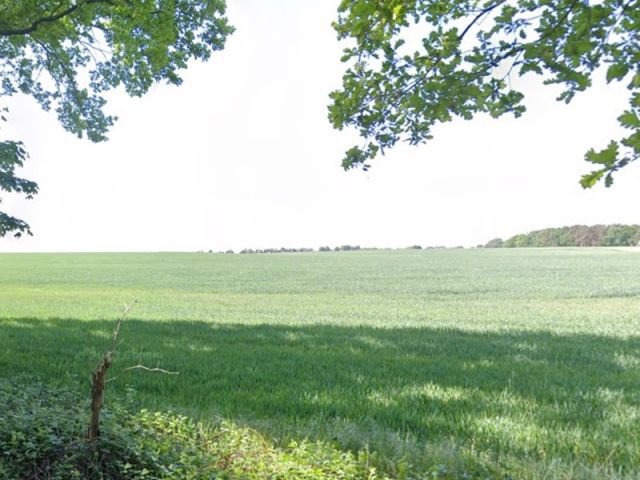Blick Richtung Verkaufsgegenstand innerhalb der größeren Landwirtschaftsfläche - Langer Landwirtschafts-/Ackerstreifen südöstlich von Berlin