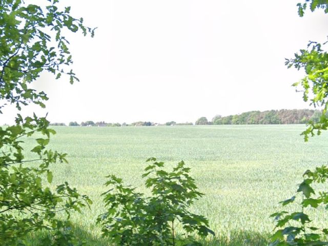 Blick Richtung Verkaufsgegenstand innerhalb der größeren Landwirtschaftsfläche - Langer Landwirtschafts-/Ackerstreifen südöstlich von Berlin