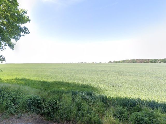 Blick Richtung Verkaufsgegenstand innerhalb der größeren Landwirtschaftsfläche - Langer Landwirtschafts-/Ackerstreifen südöstlich von Berlin