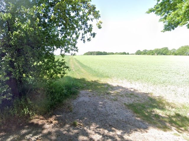 Blick von Nordosten auf den Feldweg und die Umgebung - Langer Landwirtschafts-/Ackerstreifen südöstlich von Berlin