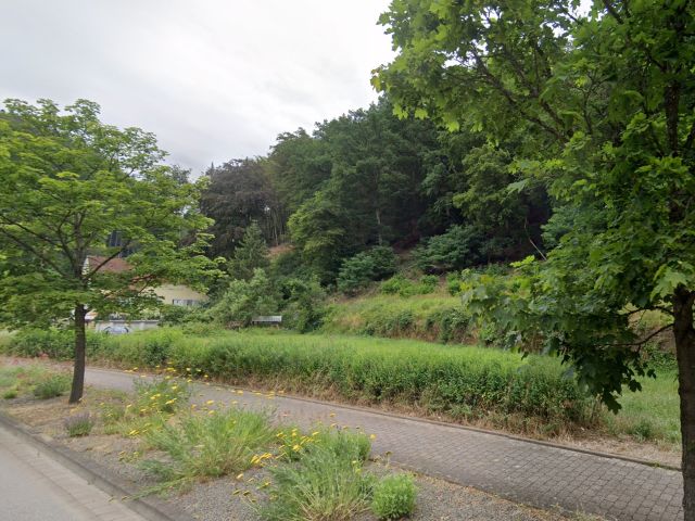 Verkaufsfläche und Umgebung - Vertragsfreie Grünfläche neben dem Landgasthof Schlossberg **etwa 18 km vom Zentrum von Kaiserslautern entfernt**