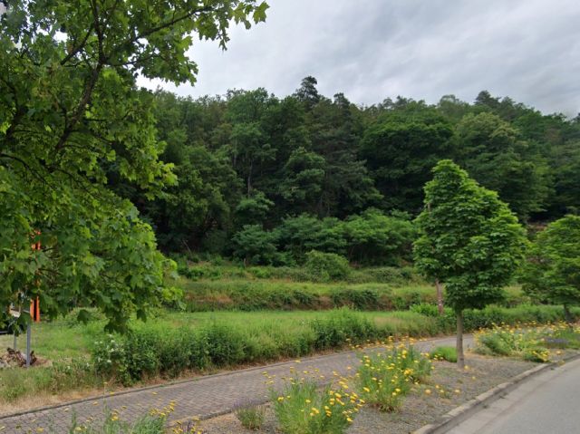 Verkaufsfläche und Umgebung - Vertragsfreie Grünfläche neben dem Landgasthof Schlossberg **etwa 18 km vom Zentrum von Kaiserslautern entfernt**