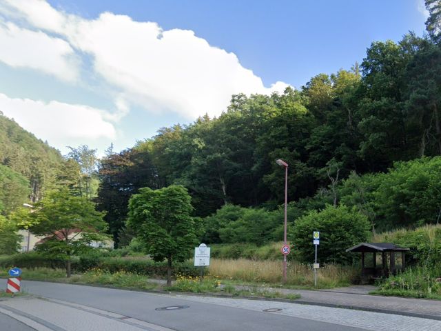 Blick auf die Verkaufsfläche und Umgebung - Vertragsfreie Grünfläche neben dem Landgasthof Schlossberg **etwa 18 km vom Zentrum von Kaiserslautern entfernt**