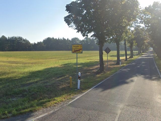 Blick in die Umgebung - Vertragsfreier Kiefernwald am südöstlichen Ortsausgang **laut Flächennutzungsplan Wohnbaufläche**