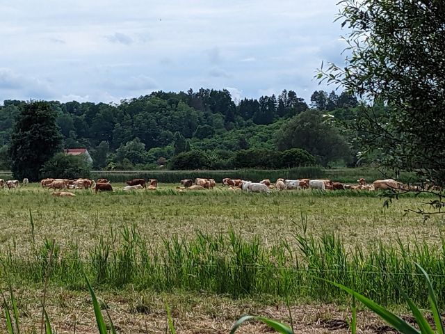 Blick in die Umgebung - Vertragslos genutzte Landwirtschaftsfläche im Oderbruch