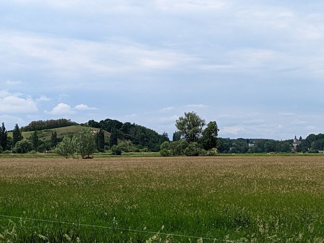 Blick auf den Verkaufsgegenstand mit Umgebung - Vertragslos genutzte Landwirtschaftsfläche im Oderbruch