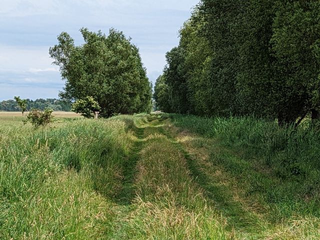 Zuwegung zur Verkaufsfläche - Vertragslos genutzte Landwirtschaftsfläche im Oderbruch