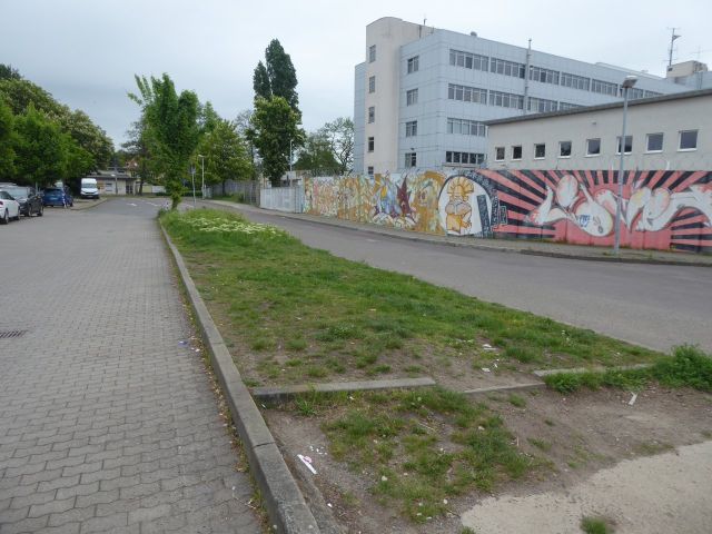 Verkaufsgegenstand - Straßenbegleitfläche nahe des Landeskriminalamts Sachsen-Anhalt