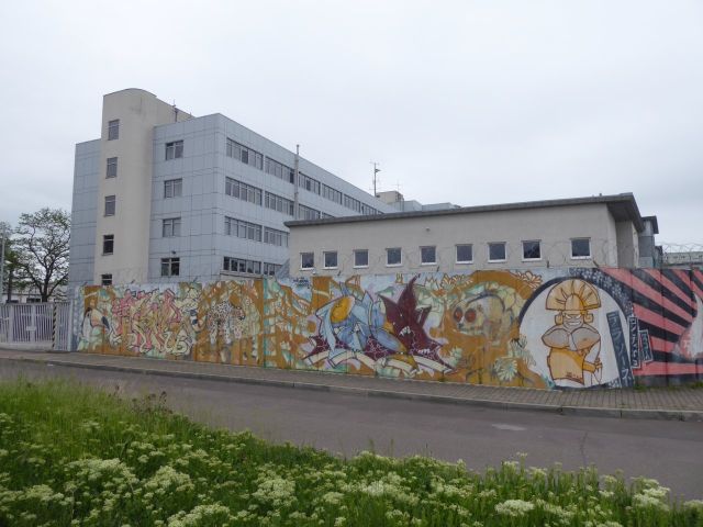 Landeskriminalamt südlich - Straßenbegleitfläche nahe des Landeskriminalamts Sachsen-Anhalt