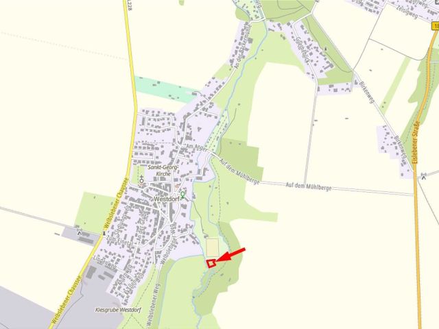 Lage des Verkaufsgegenstandes - Grünfläche mit Baumbestand unterhalb des Sportplatzes von Traktor Westdorf **vertragsfrei**