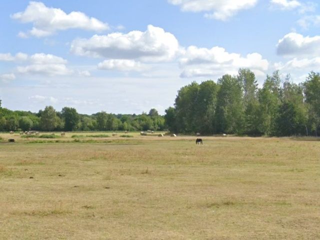 Blick Richtung Verkaufsgegenstand mit Umgebung - Kleine Grünflächen an der Bahntrasse Horka-Roßlau **verpachtet bis zum 30.09.2025**