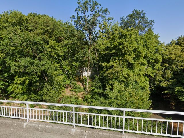 Blick Richtung Verkaufsfläche und Umgebung - Vertragsfreie Kleinstfläche - Wald und Unland **westlich des Flusses ´Blies´**