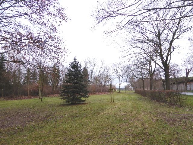 Blick auf die Verkaufsfläche und Umgebung (Aufnahme 2015) - Gepflegte, innerörtliche Grünfläche **verpachtet**