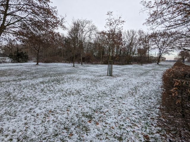 Verkaufsfläche und Umgebung - Gepflegte, innerörtliche Grünfläche **verpachtet**