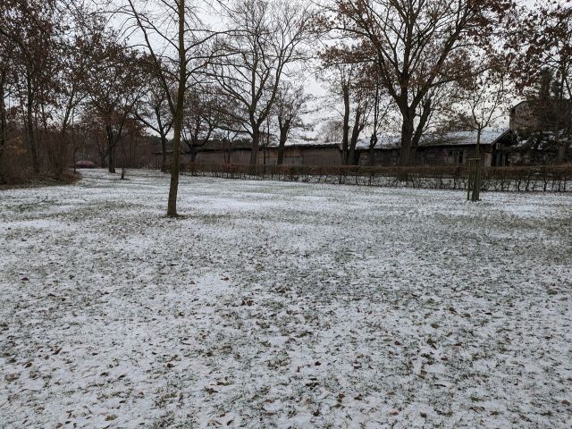 Verkaufsfläche und Umgebung - Gepflegte, innerörtliche Grünfläche **verpachtet**