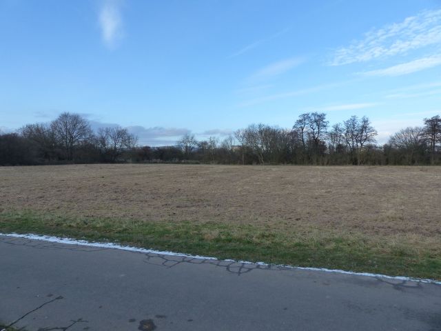 Blick auf die Verkaufsfläche und Umgebung - Vertragsfreie Landwirtschaftsfläche nördlich der Nidda in Frankfurt/Main-West