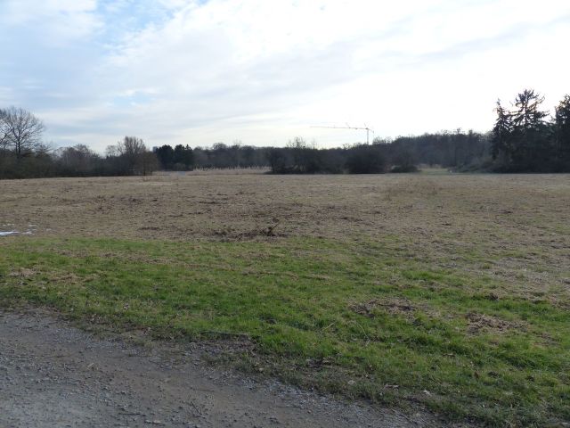 Verkaufsfläche und Umgebung - Vertragsfreie Landwirtschaftsfläche nördlich der Nidda in Frankfurt/Main-West