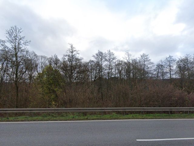 Blick Richtung Verkaufsfläche und Umgebung - Vertragsfreie Grünfläche östlich der B 41 **etwa 35 km von der Altstadt Saarbrücken entfernt**