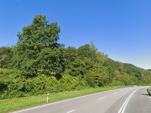 Blick Richtung Verkaufsgegenstand und Umgebung - 3 vertragsfreie Grün-/Waldflächen westlich der B 41