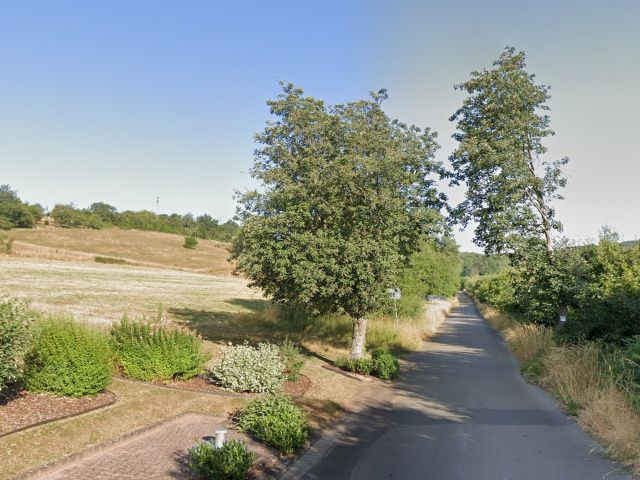 Blick Richtung Verkaufsflächen und Umgebung - 5 vertragsfreie Grünflächen/ Splitterflächen nordwestlich der B 41