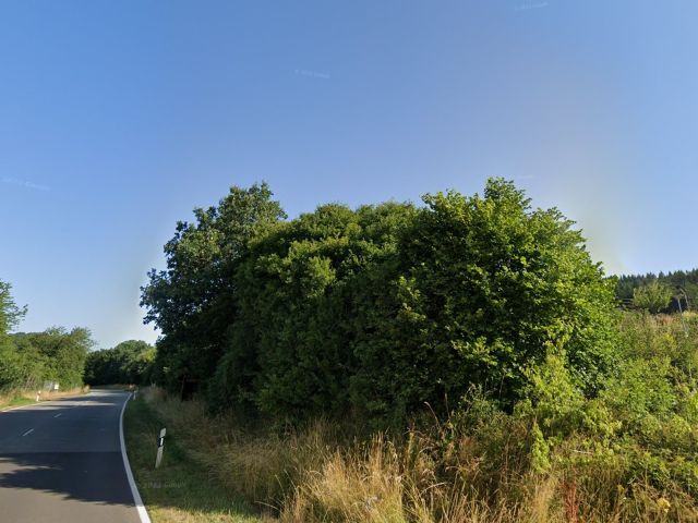 Blick auf das Flurstück 382/2 und Umgebung - Teilweise vertragslos genutzte Grünfläche und Straßenbegleitfläche östlich der B 41