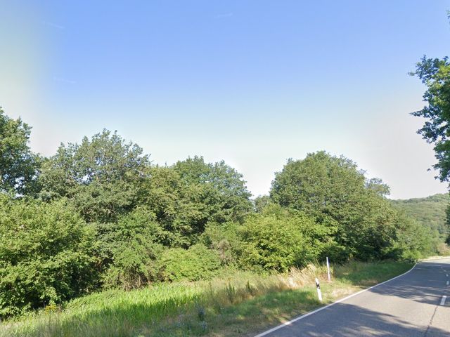 Blick auf das Flurstück 344/1 und Umgebung - Teilweise vertragslos genutzte Grünfläche und Straßenbegleitfläche östlich der B 41