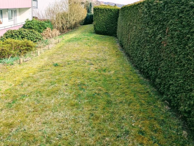 Lage des Verkaufsgegenstandes - Tlw. vertragslos genutzte Garten- und Parkplatzfläche **auch als Zuwegung und Zufahrt genutzt**