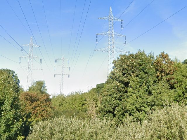 Blick in die Umgebung - Grünfläche mit Bäumen & Sträuchern am Tränkbach *ca. 20 km südl. von Frankfurt/Main, Umgebung Wochenendhäuser*