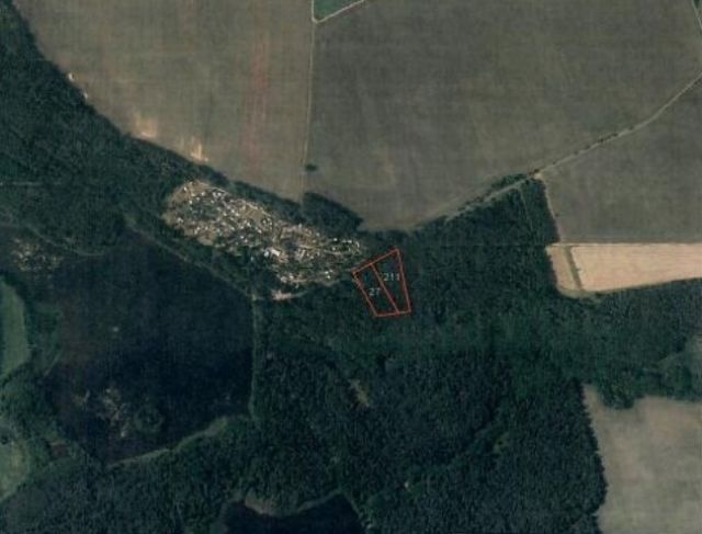 Umgebungsskizze - Forstwirtschaftsfläche ca. 250 m östlich vom ´Großen Lausiger Teich´