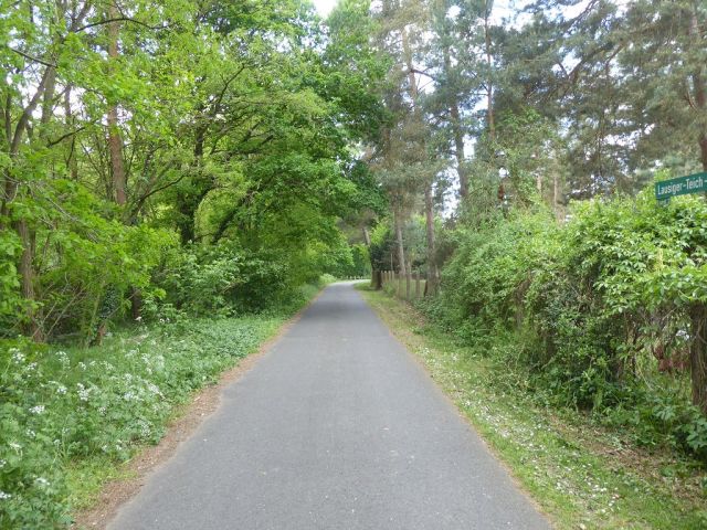 Ansicht Lausiger-Teich-Straße und Umgebung - Forstwirtschaftsfläche ca. 250 m östlich vom ´Großen Lausiger Teich´